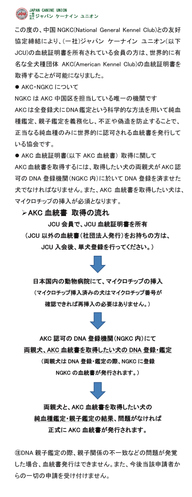 AKC血統書発行に関して